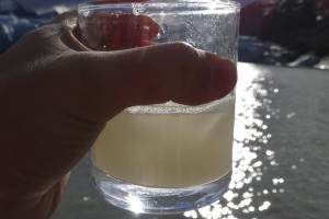 Pisco Sour with glacier ice