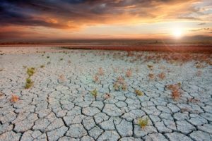 Dry cracked earth, result of global warming. Photo by prozac1